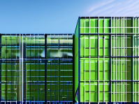 深入解析Envoy代理在网络安全中的关键作用