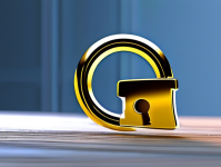 传输加密，保护数据安全的关键