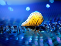 隐私影响评估，网络世界中的隐私保护